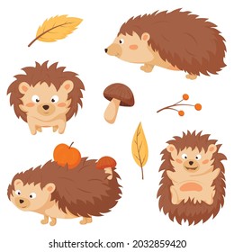 Collection of images of cute children of forest hedgehogs with apples and mushrooms in needles. A twig with berries and yellow fallen leaves.