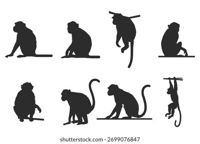 coleção imagens macacos silhueta vetor branco fundo