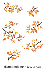 A collection of images of tree branches covered with fall foliage.