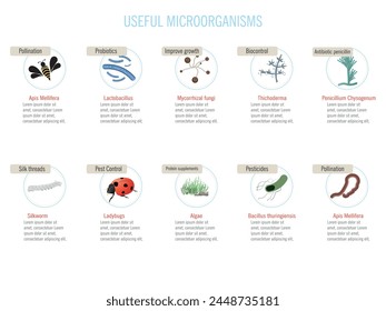 A collection of images of various microorganisms. The images are labeled with the name of the microorganism and its main benefit or use.