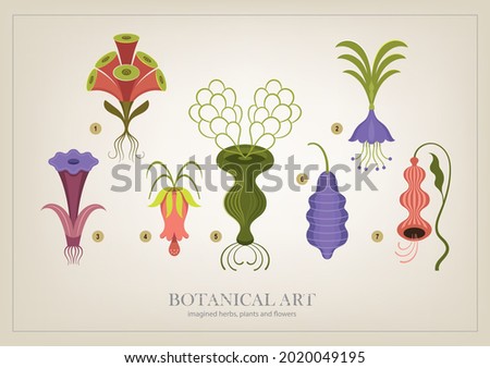Collection of imaginary flowers and plants, vector illustration. Set of  whimsical flowers. Botanical art, vintage style