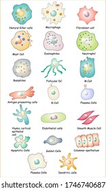 collection of immune cells: Dendritic cell, Basophile, B, T,  Plasma and Natural killer cell, Eosinophil, Mast and Goblet cell,  Endothelial, muscle cell, antigen presenting vector