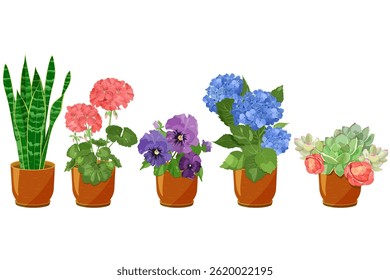 Coleção de plantas de interior e jardim em potes em fundo isolado. Ilustração vetorial.