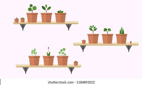 Collection of indoor house plants and flowers in pots. vector illustration