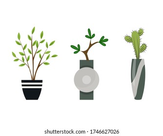 Collection of indoor house plants in pots. Home decorative and deciduous plants in a flat style. Set of elements for design house, room or office. Indoor garden potted plants isolated on white