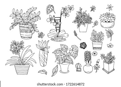 Collection of indoor and office plants in beautiful pots isolated on a white background. Vector illustration of doodle plants.