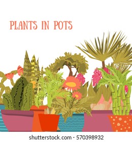 Collection of indoor plants and flowers in pots. Cartoon style. Green cactuses, succulents