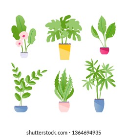 Collection of indoor plants isolated on white background. Vector illustration