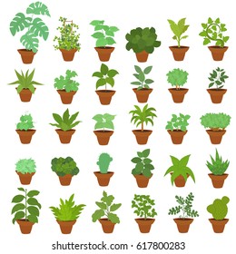 A collection of indoor plants. large set of houseplants in pots. vector illustration.