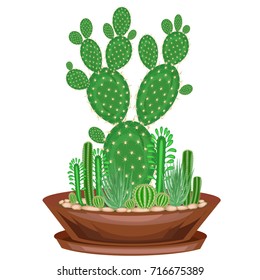 Collection of indoor plants in pots, cacti, succulents. The garden is in the bowl. Opuntia, spurge, aloe vera, Mammillaria. A hobby for collectors. Home and apartment decoration. Vector illustration.