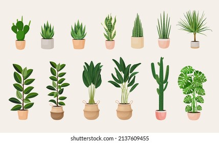 Collection of indoor plants in pots for decorating the interior. Set of vector illustrations of home flowers. Trendy home decor with plants, urban jungle.