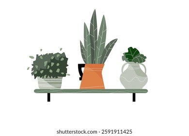 Collection of indoor plants. Set of different house plants in colorful hand made ceramic pots. Decorative natural elements for home decor. Vector illustrations isolated on white background.