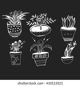A collection of indoor plants. Set of stylized flowers in pots. Decorative flowers. Line art. Black and white drawing by hand.