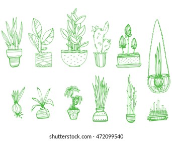 A collection of indoor plants. Set of stylized flowers in pots. Decorative flowers. Line art. Black and white drawing by hand.