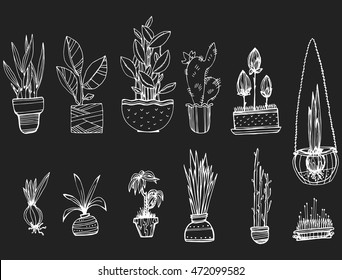 A collection of indoor plants. Set of stylized flowers in pots. Decorative flowers. Line art. Black and white drawing by hand.