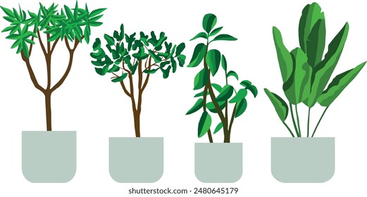 Collection of indoor potted plants vector