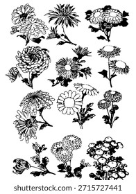 Colección de flores de jardín de primavera de dibujo de tinta aisladas sobre un fondo blanco. Colección de dibujos detallados de líneas botánicas de varias flores