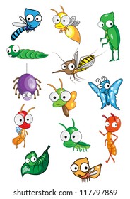 Collection of insect