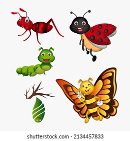 Collection of insect cartoon design. Pack of bug cartoon design icon concept.
Set of insect character.