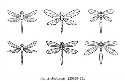 Collection of Insect Dragonflies Illustrations 