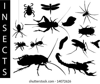 A collection of Insect silhouettes