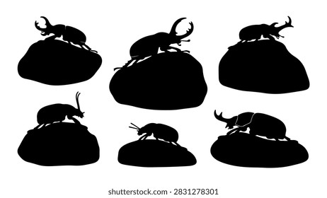 Collection of insect silhouettes including beetles, ants, and flies on rocks, showcasing diverse bug shapes and sizes in black against a plain background.