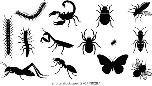 Collection of insect silhouettes including spider, scorpion, ant and butterfly, detailed black vector icons isolated on white background for design use