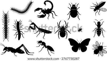 Collection of insect silhouettes including spider, scorpion, ant and butterfly, detailed black vector icons isolated on white background for design use
