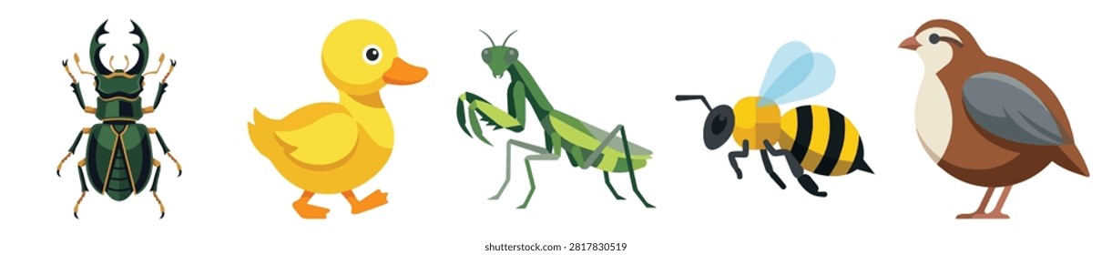 Collection of insects and a bird highlighting vibrant colors and varied shapes ideal for nature, wildlife, biodiversity, and outdoor imagery projects