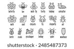 Collection of insects and bugs with names, cute hand drawn doodles style, for children