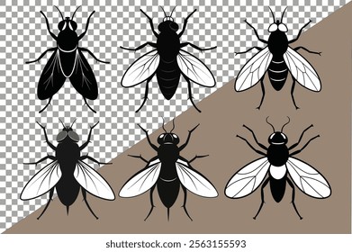 collection of insects, Caddisfly insect flat vector illustration on white