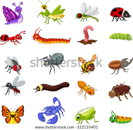 collection of insects cartoon for you design