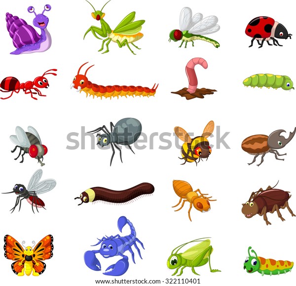 collection de dessins animés d'insectes pour : image vectorielle ... collection de dessins animés d'insectes pour : image vectorielle ...