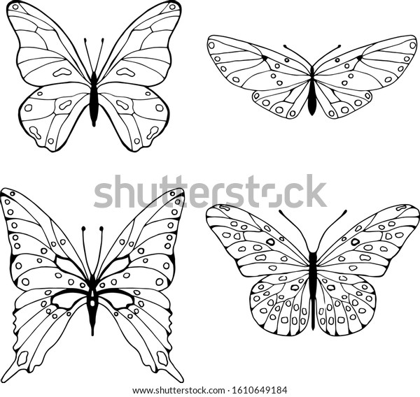 Collection Insects Coloring Book Top View Stock Vector (Royalty Free ...