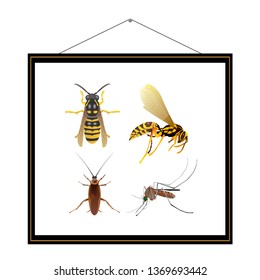 Collection of insects in frame. Wasp, mosquito, cockroach. Fauna, animal world, insects, vector illustration