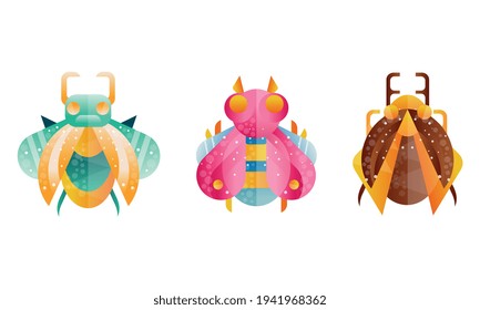 Collection of Insects, Front View of Cute Colorful Beetles Cartoon Vector Illustration