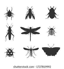 Colección de insectos aislados en blanco. Ilustración vectorial.