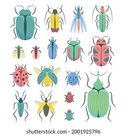 Collection of insects isolated on white background. Colorful vector set of beetles 