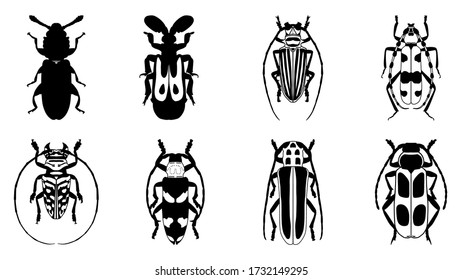 Collection of insects isolated on white.Vector illustration.