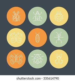 Collection of insects made in thin line vector style. Bug symbols, nature elements. 