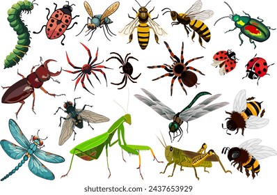 Collection of insects on a transparent background.Crawling and flying insects on a transparent background in a vector set.