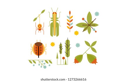 Collection of insects and plants, nature and ecology design elements vector Illustration