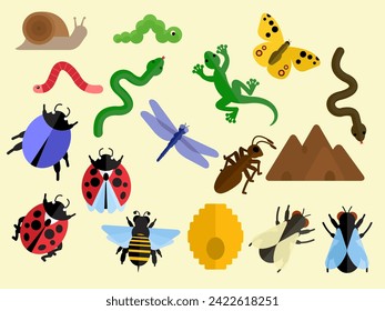 A collection of insects and reptiles