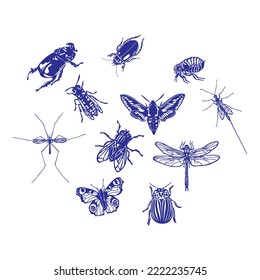 Collection Of Insects Vector Illustration
