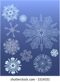 collection of intricate flowerlike snowflakes
