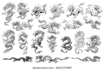 Collection of intricately detailed Chinese dragon illustrations showcasing cultural artistry and symbolism perfect for design needs