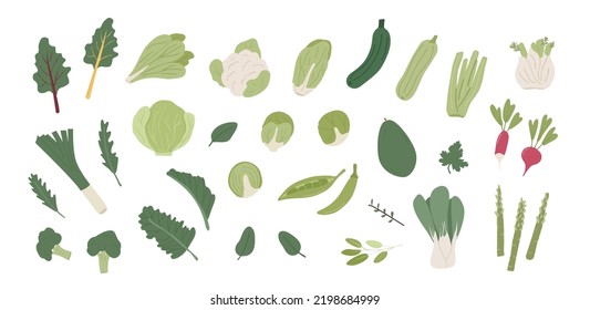 Collection of iron rich different vegetables. Bundle of organic natural greens, salad and herbs. Vegan vegetarian healthy diet ingredients. Vector illustration flat style isolated on white background.