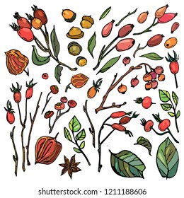 collection of isolated berry objects. Beautiful background for menu design and packaging.