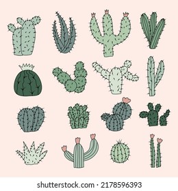 Collection of isolated cacti. Cartoon plants. Colored flat illustration for your creativity.