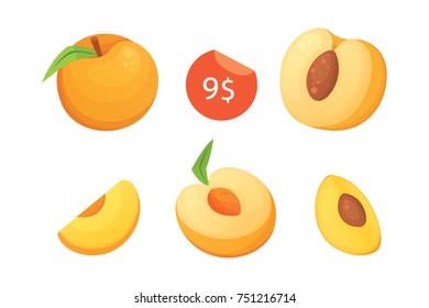 Collection of isolated cut and whole vector peaches. Vector apricot illustration in curtoon style